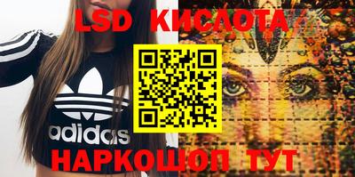 винт Кимры