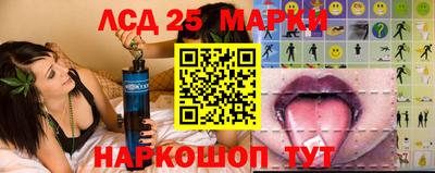тгк Кингисепп