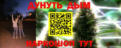 тгк Кингисепп