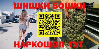 тгк Кингисепп