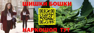 тгк Кингисепп