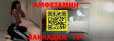 тгк Кингисепп