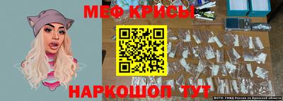 тгк Кингисепп