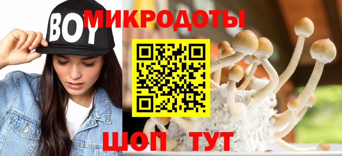 Псилоцибиновые грибы прущие грибы  Галлюциногенные грибы прущие грибы  Вход с VPN  Комсомольск-на-Амуре 